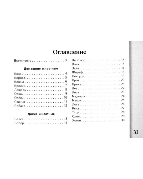 Загадки о животных