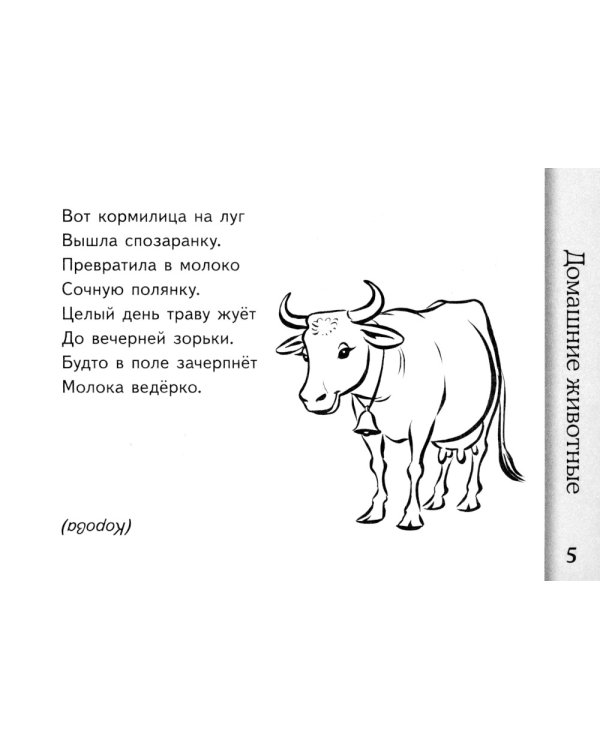 Загадки о животных