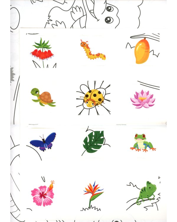 Раскрась и наклей: джунгли: книжка-раскраска