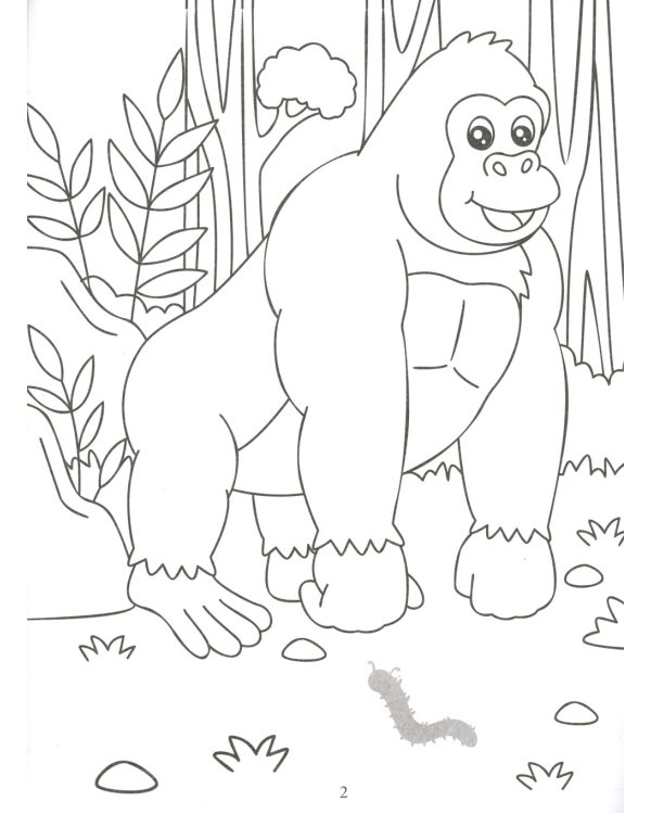 Раскрась и наклей: джунгли: книжка-раскраска