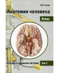 Анатомия человека. Атлас. В 3 т. Т. 3: Учение о нервной системе. 2-е изд., перераб