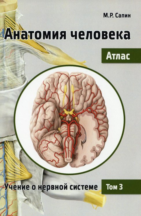 Анатомия человека. Атлас. В 3 т. Т. 3: Учение о нервной системе. 2-е изд., перераб