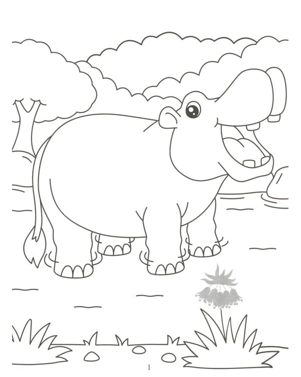 Раскрась и наклей: джунгли: книжка-раскраска