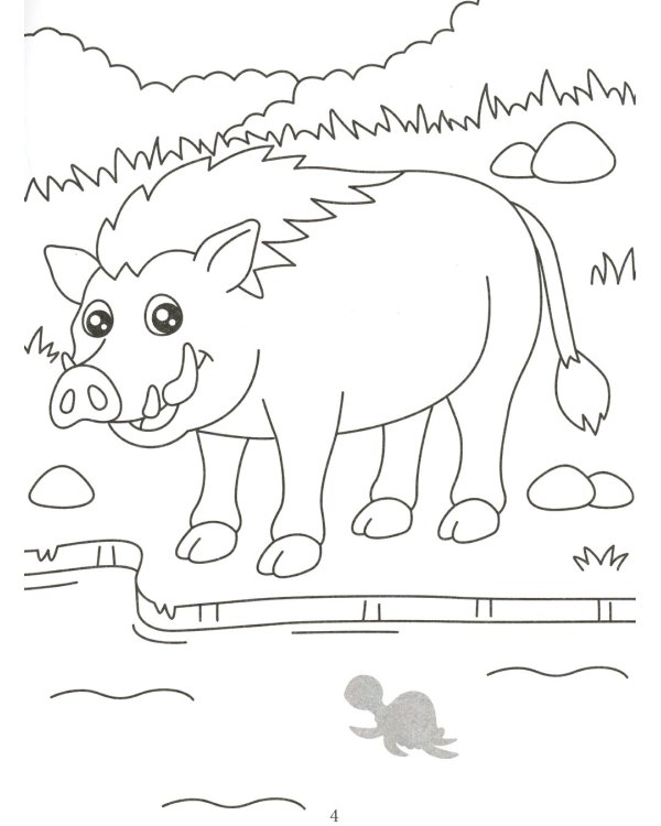 Раскрась и наклей: джунгли: книжка-раскраска