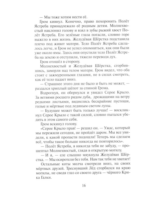 Коты-воители. Сверкающая Звезда