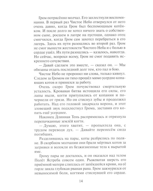 Коты-воители. Сверкающая Звезда