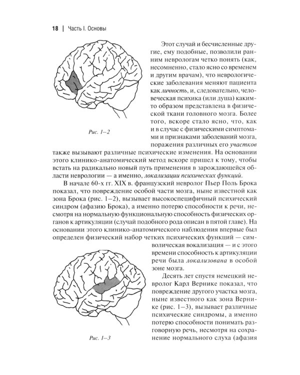 Клинические исследования в нейропсихоанализе. Введение в глубинную нейропсихологию. 5-е изд