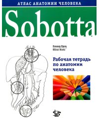 Sobotta. Рабочая тетрадь по анатомии человека