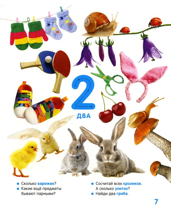 Цифры и счет