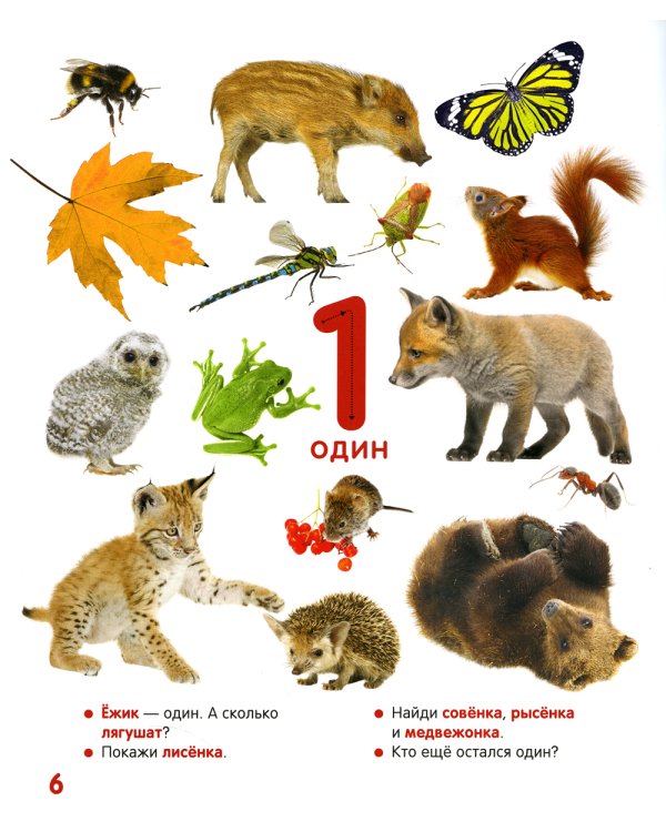 Цифры и счет