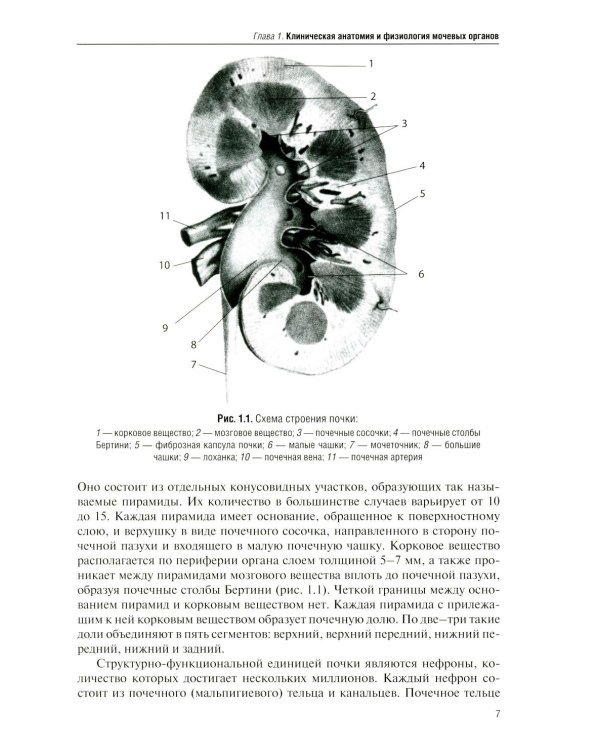 Дополнительное изображение книги «Рентгенодиагностика в урологии»