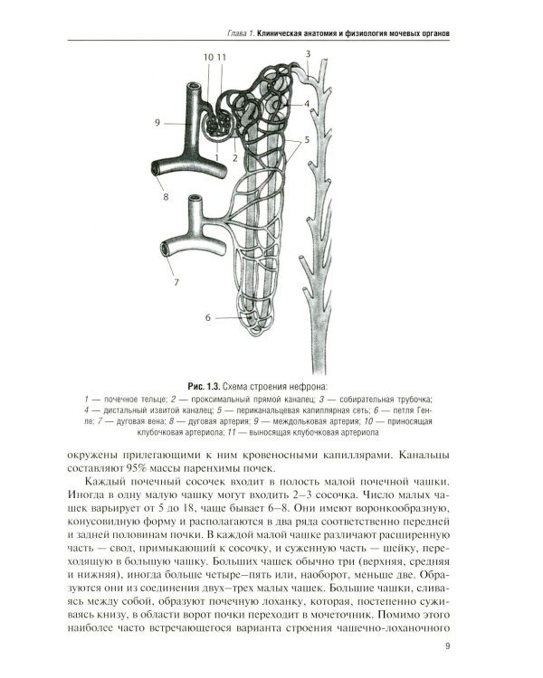 Дополнительное изображение книги «Рентгенодиагностика в урологии»