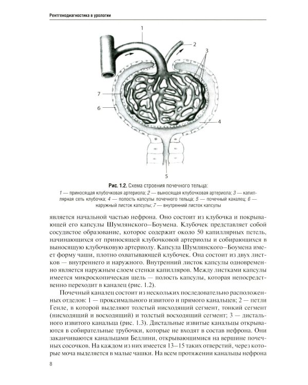 Дополнительное изображение книги «Рентгенодиагностика в урологии»
