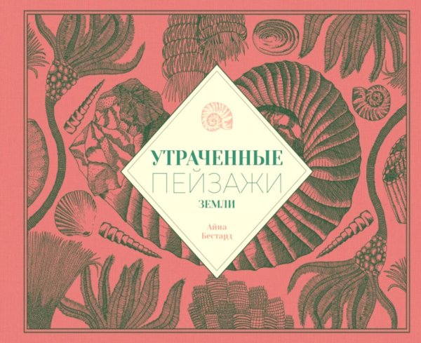 Обложка книги «Утраченные пейзажи Земли» — Бестард Айна, ISBN 9785605370543