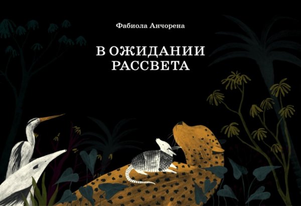 Обложка книги «В ожидании рассвета» — Анчорена Фабиола, ISBN 9785605370550