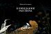 Обложка книги «В ожидании рассвета» — Анчорена Фабиола, ISBN 9785605370550