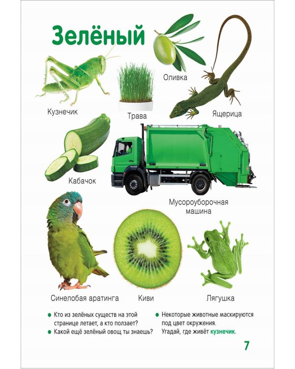 Цвета и формы