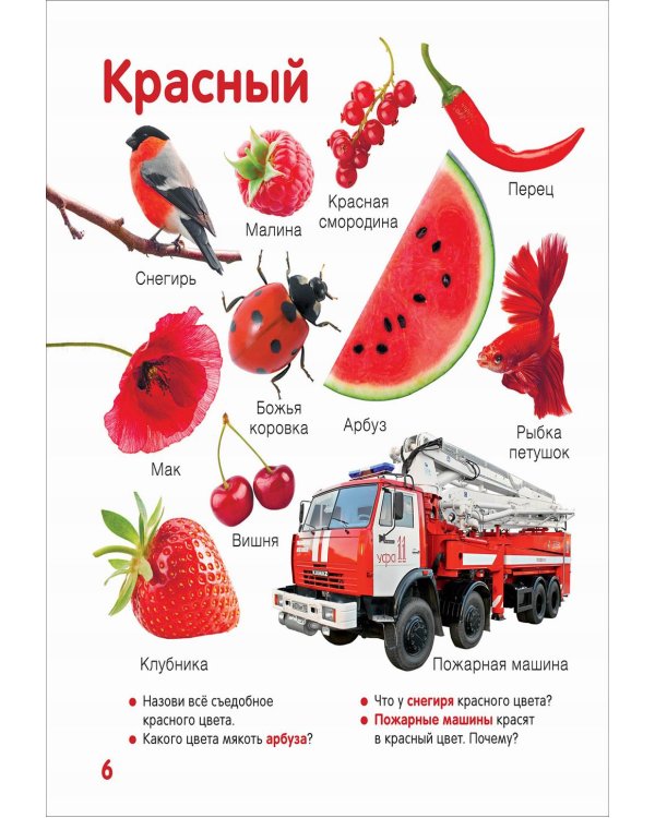 Цвета и формы