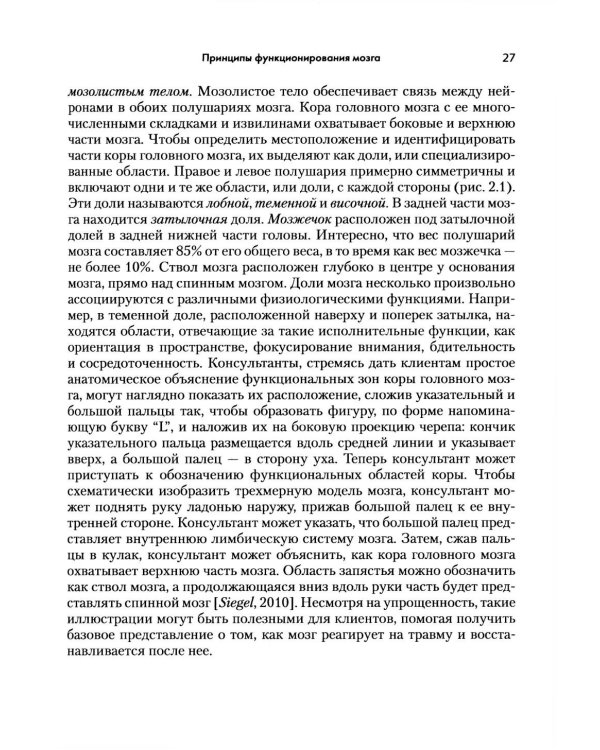 Применение нейронауки в терапии травм: креативное и сострадательное консультирование