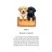 A friendly family книга на англ.языке