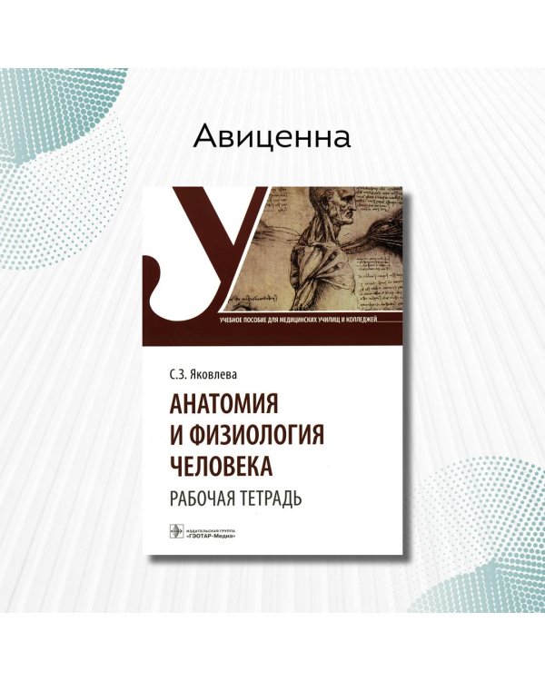 Анатомия и физиология человека. Рабочая тетрадь