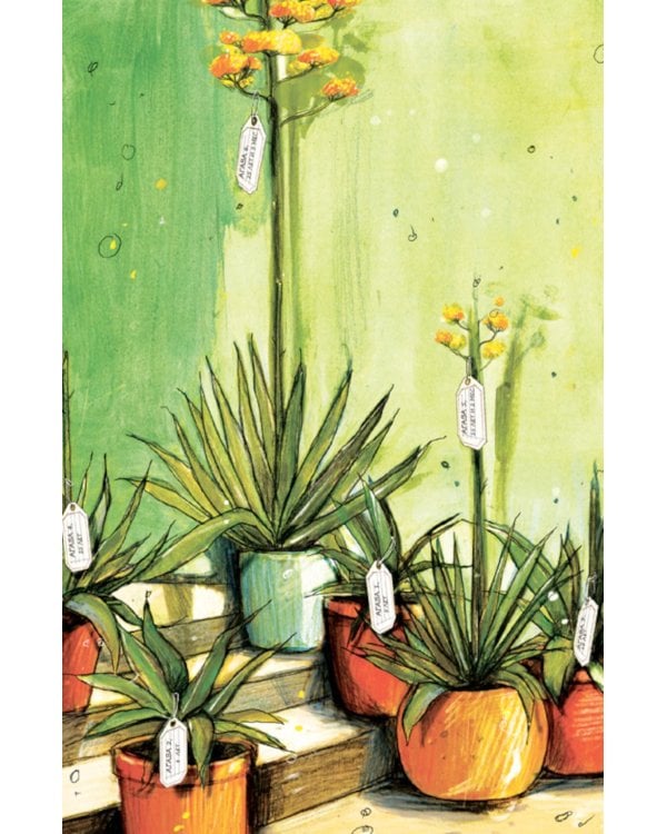 Вижу - не вижу