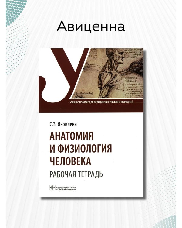 Анатомия и физиология человека. Рабочая тетрадь