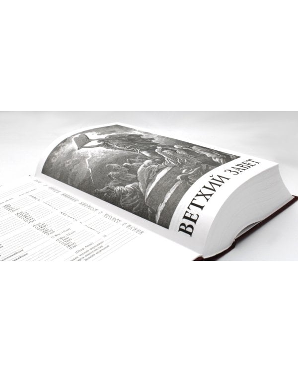 Библия. Книги Священного Писания Ветхого и Нового Завета (золот.тиснен.)