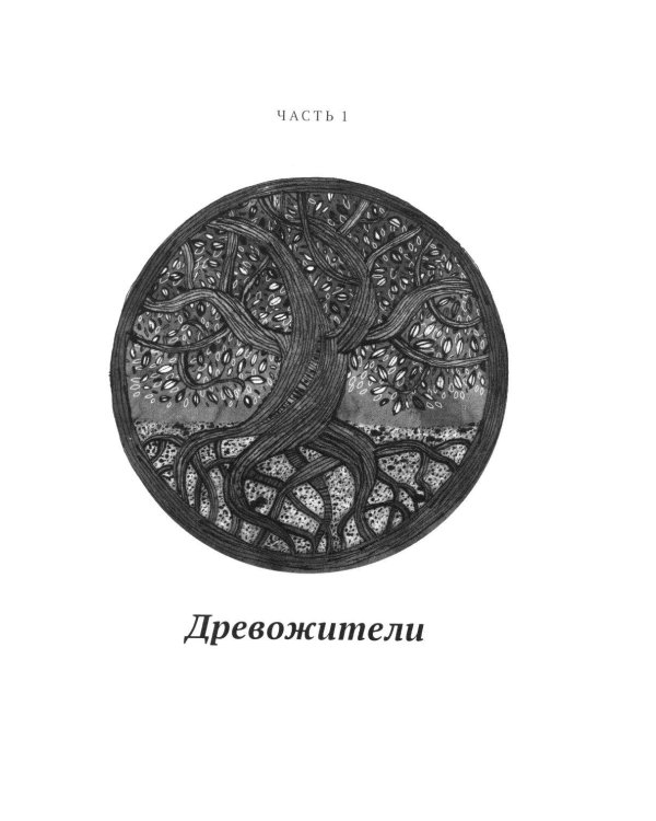 Дополнительное изображение книги «Долина драконов»