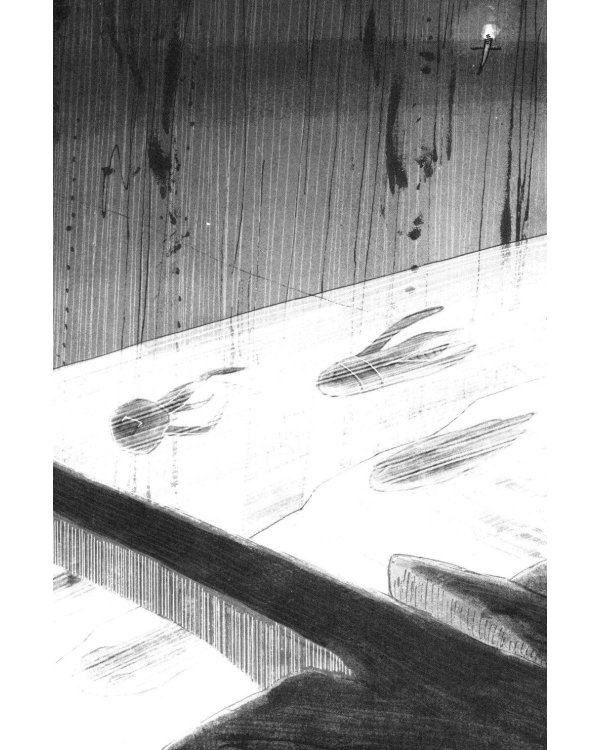 Дополнительное изображение книги «Долина драконов»