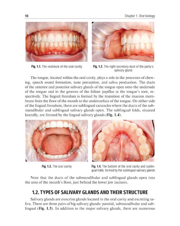 Rubber dam system: basic knowledge and practical skills for isolating the working field in clinical dentistry: tutorial guide
