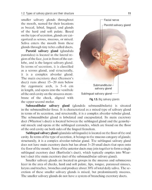Rubber dam system: basic knowledge and practical skills for isolating the working field in clinical dentistry: tutorial guide