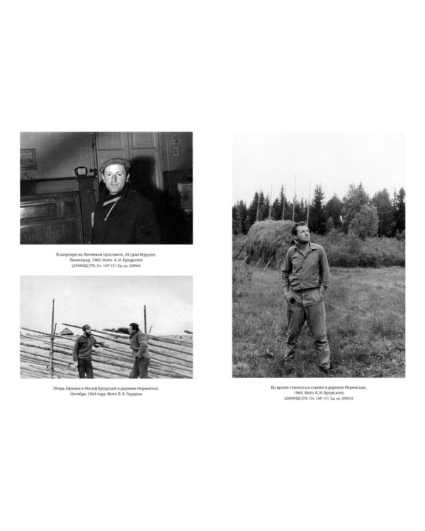 Иосиф Бродский: Опыт литературной биографии