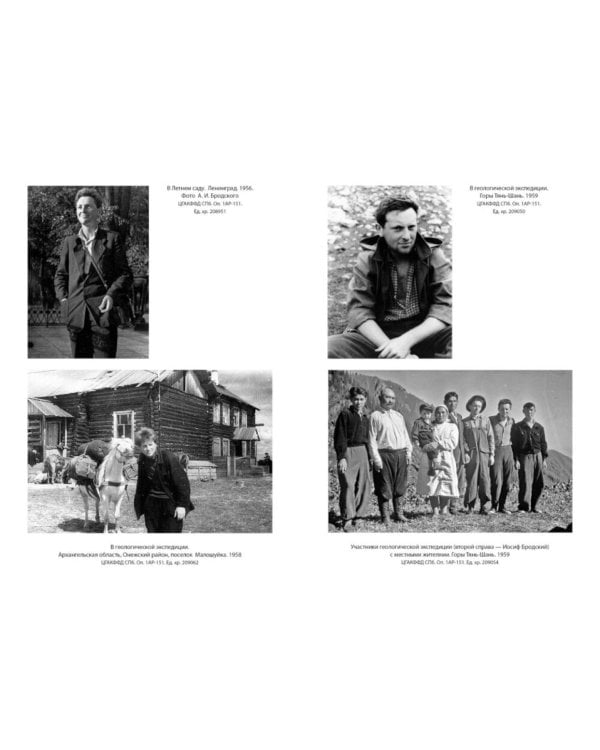 Иосиф Бродский: Опыт литературной биографии