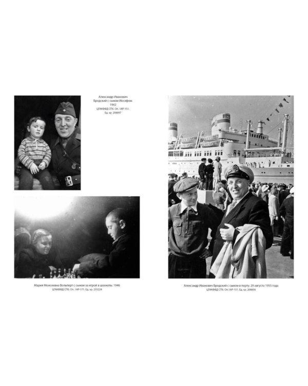 Иосиф Бродский: Опыт литературной биографии