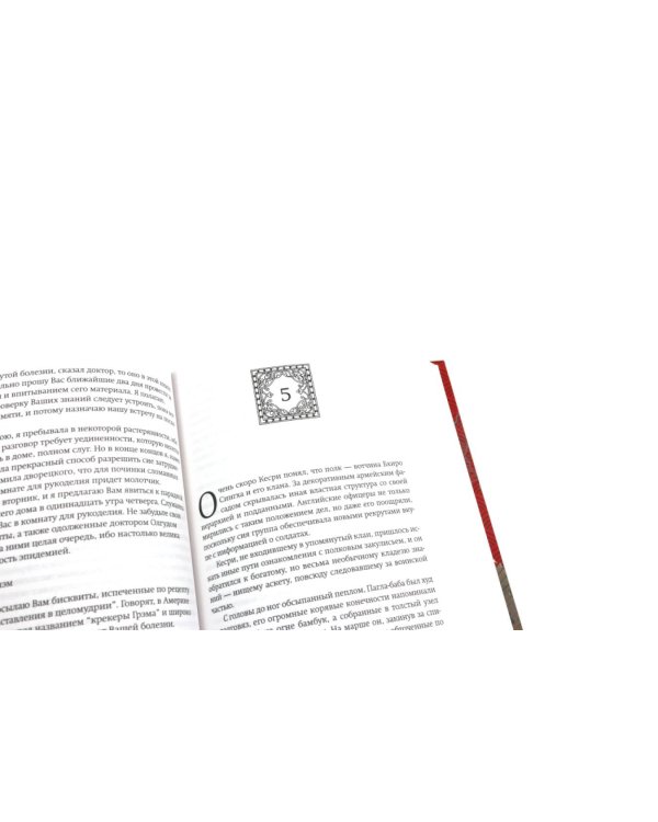 Дополнительное изображение книги «Ибисная трилогия: Маковое море, Дымная река, Огненный поток (комплект из 3-х книг)»