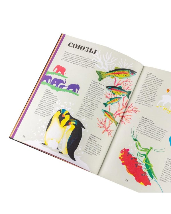 Чудесные книги жизни и смерти (комплект в 2 кн.)