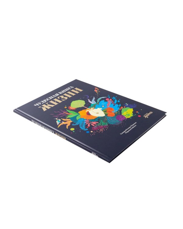 Чудесные книги жизни и смерти (комплект в 2 кн.)