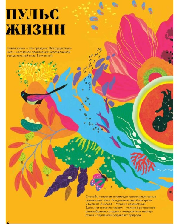 Чудесные книги жизни и смерти (комплект в 2 кн.)