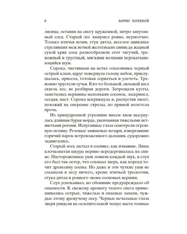 Повесть о настоящем человеке