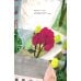 Дополнительное изображение книги «Прогулка с кошкой»