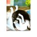 Дополнительное изображение книги «Прогулка с кошкой»