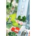 Дополнительное изображение книги «Прогулка с кошкой»