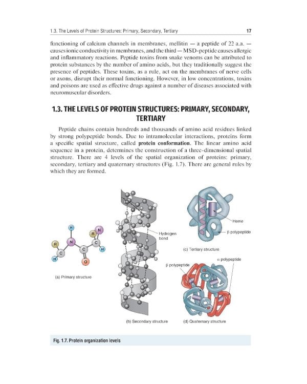 Essential Biochemistry for Medical Students with Problem-Solving Exercises : textbook = Базовый курс биохимии для студентов медицинских специальностей