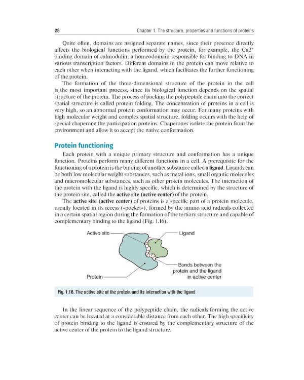 Essential Biochemistry for Medical Students with Problem-Solving Exercises : textbook = Базовый курс биохимии для студентов медицинских специальностей