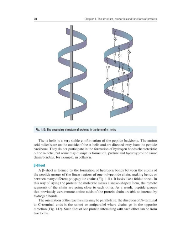 Essential Biochemistry for Medical Students with Problem-Solving Exercises : textbook = Базовый курс биохимии для студентов медицинских специальностей