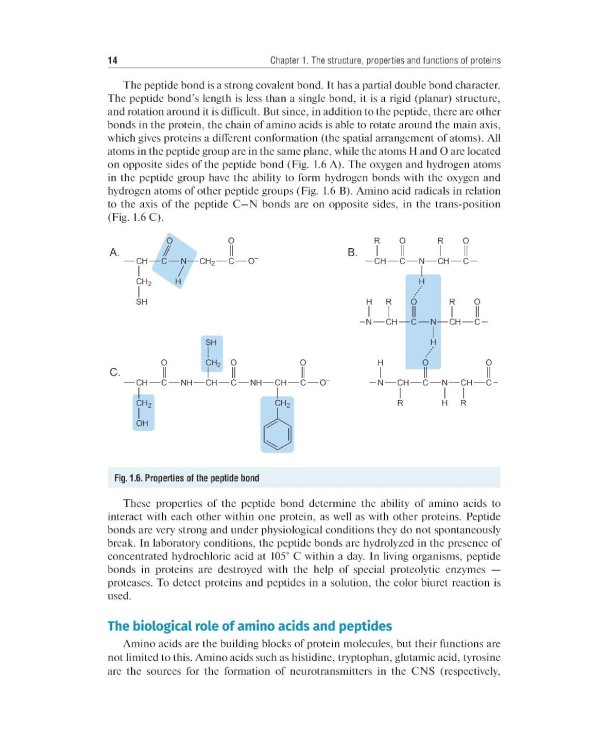 Essential Biochemistry for Medical Students with Problem-Solving Exercises : textbook = Базовый курс биохимии для студентов медицинских специальностей