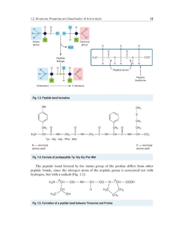Essential Biochemistry for Medical Students with Problem-Solving Exercises : textbook = Базовый курс биохимии для студентов медицинских специальностей
