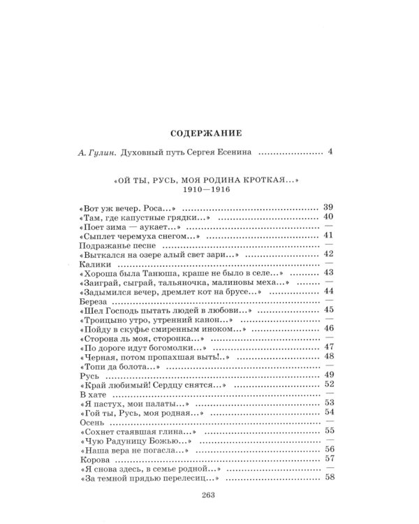 В этом мире я только прохожий…: стихотворения и поэмы