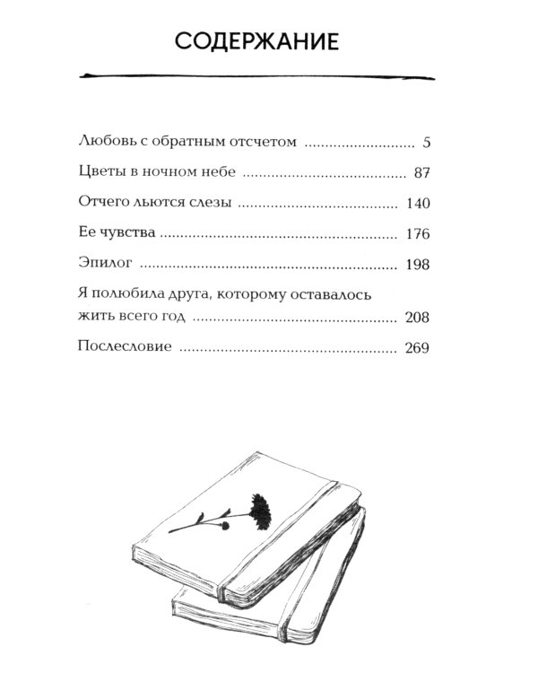 За год до смерти я встретил тебя: роман